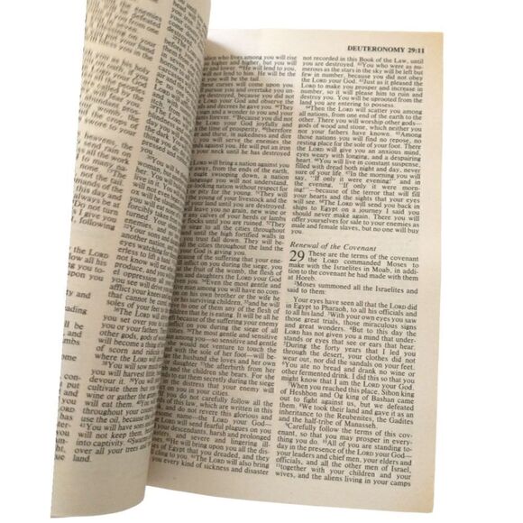 NIV Bible Paperback New International Edition 1986 Zondervan Publishing Witness. - Picture 11 of 16